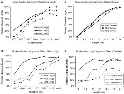 Interference between Space and Time Estimations: From Behavior to Neurons